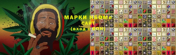 индика Карталы