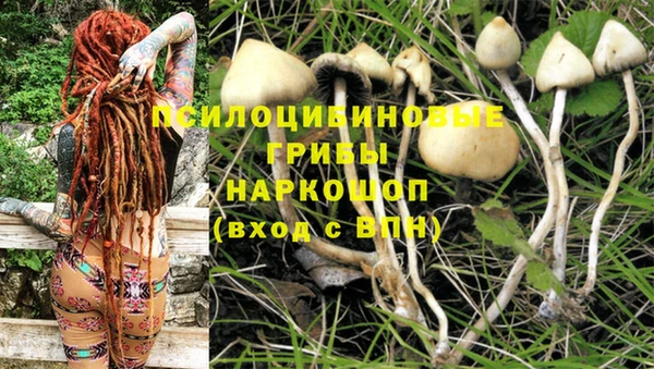 бутик Каменногорск